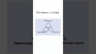 Virchows triad kattrucate medicalreels triads bloodvessels damage stasis venous shorts [upl. by Allisurd251]