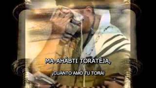 SALMO 119 EN HEBREO  CUÁNTO AMO TU TORÁ CANTA HAIM ISRAEL [upl. by Oicnecserc319]