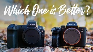 Canon EOS R vs Sony a7III  QUICKEST COMPARISON EVER [upl. by Hujsak]