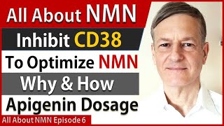 All About NMN Ep6  Inhibit CD38 To Optimize NMN  Why amp How  Apigenin Dosage [upl. by Ynittirb23]