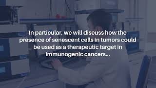 Senescent Cell Vaccines Immune Response Against Cancer amp Aging  AgingUS [upl. by Aihsital333]