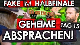 Dschungelcamp 2019  Tag 15 SkandalFAKE im HALBFINALE Evelyn Peter amp Felix im Finale [upl. by Anegroeg709]