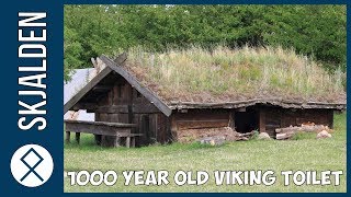 1000 Year Old Viking Toilet Discovered In Denmark [upl. by Lleryd644]