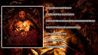 Visceral Hatred  Revelations Of Perversion FULL ALBUM 2014HD [upl. by Molahs207]