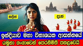 ඉන්දියාවට මේ මොකද එක පාරටම උනේ  Toxic foams cover Yamuna river in Delhi [upl. by Erdna335]