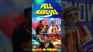 REGGAE DAS ANTIGAS MELO DE POLIANA shorts reggae reggae2024 [upl. by Led]