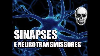 Animação  Neurônios sinapse contração muscular e movimento  Sistema Nervoso  Vídeo Aula 086 [upl. by Eckmann69]