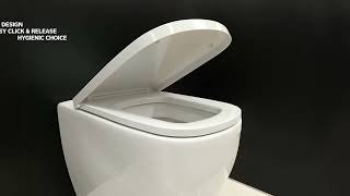 Laufen Palomba New White Slim Removable Soft Close Toilet Seat  Italtile [upl. by Edithe]