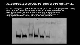 Native PAGE Polyacrylamide Gel Electrophoresis Troubleshooting [upl. by Eiryt]