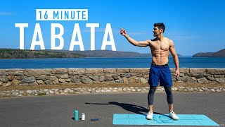 16 MINUTE TABATA WORKOUT  FullBody  No Equipment w Ash Crawford [upl. by Redmer]