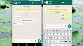 How to Read WhatsApp Messages without Blue Tick Marks [upl. by Hentrich]