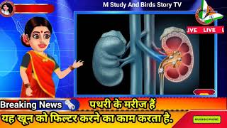 🥺किडनी स्टोन समस्या पढ़ सकती ये 🤔3 चीज खाने से बचे जादे 😁Causes Kidney Stones facts shorts scince [upl. by Thamos]