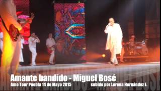 22 Amante bandido  Miguel Bosé Amo Tour Puebla 14 de Mayo 2015 [upl. by Ellac165]