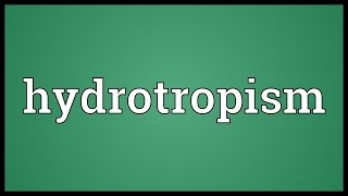 Hydrotropism Meaning [upl. by Thin]