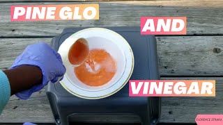 Can You Mix Pine Sol And Vinegar Watch This [upl. by Werdn]