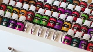 Best Way to Organize  Store Your Young Living Essential Oils [upl. by Treborsemaj]