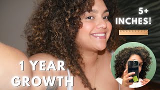 I grew my curls 5 inches in ONE YEAR heres how [upl. by Seabrook]