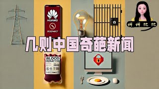 中国奇葩：华为手机翻墙不宜｜不生孩子强制断电｜献血百次送自助餐｜青少年上网受限 [upl. by Notseh]