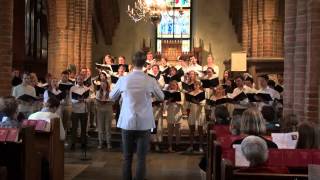 Arr Vaughan Williams  Greensleeves Värmlands Nations Kör dir Jonas Rasmussen [upl. by Aigroeg]