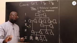 Cours  Terminale S1ampS2  SVT Résumé de cours  Lhérédité humaine  La Myopathie  Suite 3 [upl. by Introc845]