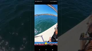 Puerto madryn  ballenas 360 viaje viralshorts [upl. by Audri]