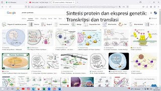 Sintesis protein dan ekspresi genetik Transkripsi dan translasi [upl. by Daren]