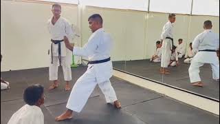 Heian Shodan amp Yondan Kata Elements [upl. by Gnik]