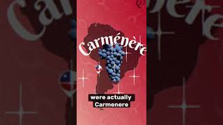 Carmenere explained Chile carmenere wine sommelier followmerafael [upl. by Limbert]