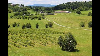 Chestnut Chat Meadowview Research Farms [upl. by Laehctim]