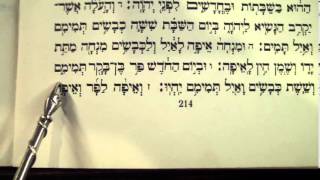 Haftorah Haftarah Parsha Hachodesh Rabbi Weisblum קריאת הפטרה שבת החודש [upl. by Ynad835]