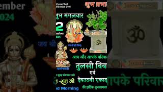 🌷🌹🌷 gane mast Tulsi Janm Le Li kaun se Haryanvi tulsivivahgeet matasaraswati mahakutami [upl. by Partan]