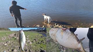 PESCANDO BAGRES y VARIADA en un LUGAR con mucho PIQUE en CÓRDOBA [upl. by Llennol753]