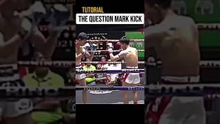 the Question mark kick motivationkickboxing subcribe sportsmotivation [upl. by Loring]