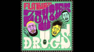 Flatbush Zombies  Mary Nothing Above Thee Prod By Erick Arc Elliott [upl. by Asihtal965]