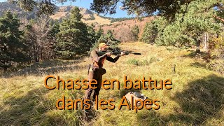 Chasse en battue dans les Alpes 💥 des postes magnifiques [upl. by Hsatan]