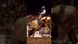 90th Annual Lewiston Roundup  XTREME BULLS CHAMP [upl. by Idieh]