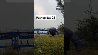 Push up day 28motivation pushupchallenge fitnesschallenge cardioforfatloss fun fncsweight los [upl. by Dottie]