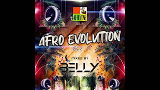 12 PAPAS GOT A BRAND NEW PIGBAG  Afro Evolution Vol 11 2022 [upl. by Ellie]