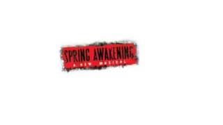 Spring Awakening  My Junk Instrumental Karaoke [upl. by Namyaw]