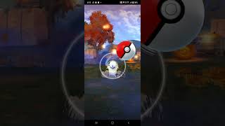 I catch absol high CP in Pokemon go [upl. by Karlise849]