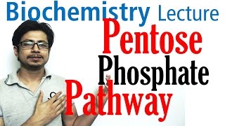 Pentose phosphate pathway [upl. by Daile592]