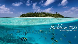 Maldives Sea Life  Komandoo Island Resort 2023 [upl. by Nirrak]