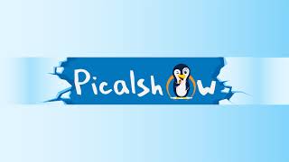 Picalsho Live Stream [upl. by Reinald]