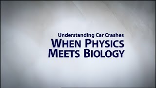 Understanding Car Crashes When Physics Meets Biology [upl. by Otreblanauj]