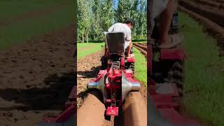 Part 17 Strawberry furrowing and ridging machineOrchard greenhouse management [upl. by Namara]