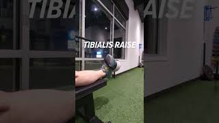 Tibialis Raise for Achilles Tendinitis [upl. by Kyred]