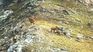 PYRÉNÉES ORIENTALES  Sardane sur la crête  CLIP TV IZARD  Esprit des Pyrénées  Pyrenees [upl. by Hymen]