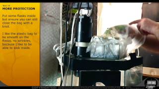 Orchid Seed Germination for Beginners  by Sven Littkowski [upl. by Kenneth]