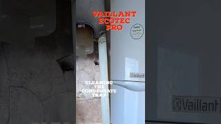 Vaillant EcoTec Pro Cleaning the condensate trap gas boiler service engineer gasengineer [upl. by Ericha856]