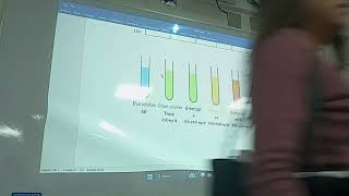 FISIOLOGIA FISIOPATOLOGIA  FASE 3  PRACTICA 02  01 [upl. by Seta108]